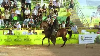 SOCIO DE TIERRA GRATA, TERCER PUESTO CAMPEONATO JOVEN TROTE Y GALOPE  LA VIRGINIA GRADO B 2025