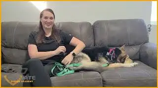 Elevate Canine Academy Testimonial - Lisa and Kida