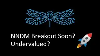 NNDM Price Analysis and Predictions!