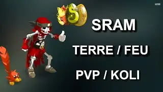[Dofus] Stuff Sram 200 Terre/Feu  (Pvp, Koli)
