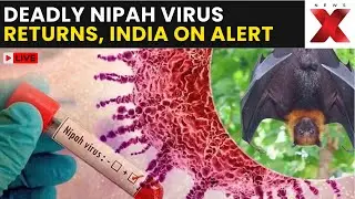 Nipah Virus Outbreak LIVE | Nipah Virus Alert! Doctors Urge Masks, Isolation and Extreme Caution