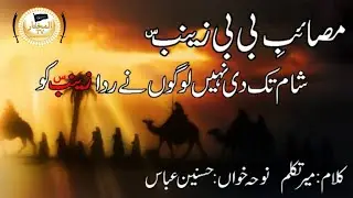 Sham Tak Di Nahi Rida Zainab (sa) Ko || New Nohay 2018 || 1439 || Hasnain Abbas Nohay 2017-18
