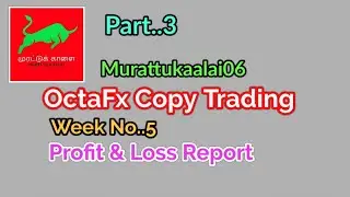 Weekly Profit & Loss Report / Copy Trading / Part..3