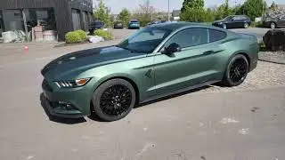 Covering in 3m Pine Green