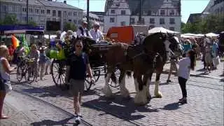 CSD Darmstadt 2013 (Parade + Zwischenkundgebung)