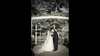 Veramar Wedding Photographer|Veramar Vineyard Photos|Northern Virginia Weddings|Vintage