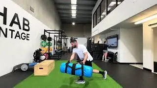 Lunge - Deceleration w AB Perturbations