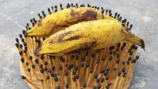 EXPERIMENT Match Vs Banana