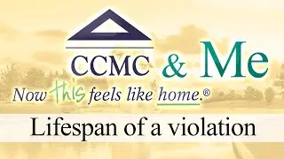 Lifespan of a violation