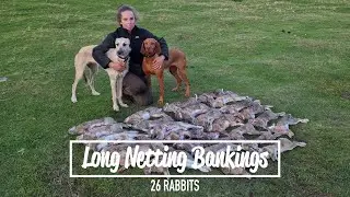 Long Netting Banking's - 26 Rabbits Removed