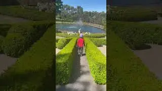 Into the Enchanted Maze Garden #shorts #garden #kids