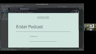 WP Plugin Entwicklung