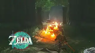 The Legend of Zelda: Tears of the Kingdom Explore the Typhlo Ruins