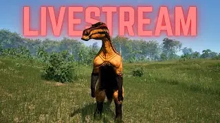 🔴 Live - The Year of P Begins (Happy New Year!) Prime Omni is a BEAST