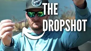 The Last Dropshot Video You NEED To Watch - The Best Dropshot Tackle to Get