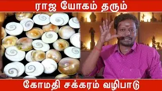 ராஜ யோகம் தரும் கோமதி சக்கரம் வழிபாடு | Gomathi Chakram Benefits | Mayan Senthil Kumar
