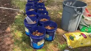 Pt. 1 / Moving Garden Plants To New Home  | How To Move Garden Plants When Moving House