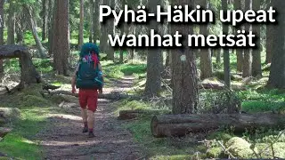 2 päivän vaellus Pyhä-Häkin kansallispuistossa (Tulijärven polku)