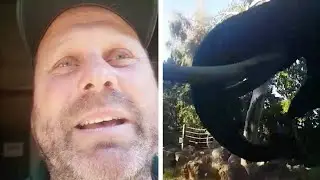 Elephant Reunited With His Zookeeper Best Friend