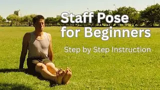 Staff Pose (Dandasana) for Beginners | Step-by-Step Yoga Tutorial