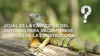 Social & Environmental Impacts of the Port Bar&uacute; development in Panama