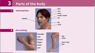 Unit 3.Part of the body Vocabulary in use Elementary #vocabularyinuse #english #englishvocabulary