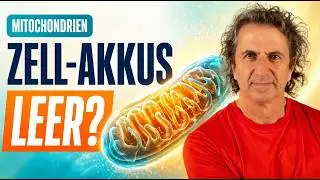 🔋 Mitochondrien, ATP & Kreatin: So laden Sie Ihre Energie-Akkus schnell wieder auf! ⚡💪 #energie