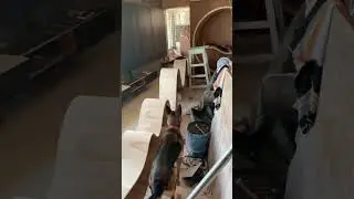 Dog attacked a thief 🐶⚠️ ** watch the end ** #shorts #germanshepherd #dogattack