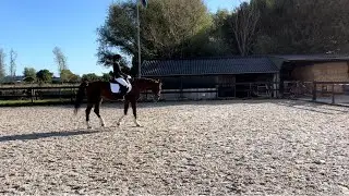 F3-B proef goed voor 238 punten en 1e 🥇 nooit te oud om te leren.