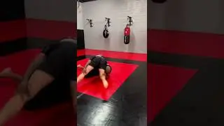 Gordon Ryan vs. Jon Jones #grappling #mma #adcc #ufc