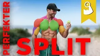 Dein perfekter Trainingsplan