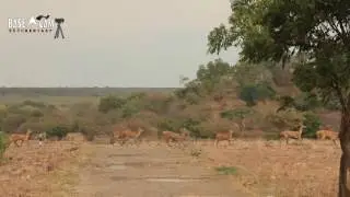 Baluran National Park