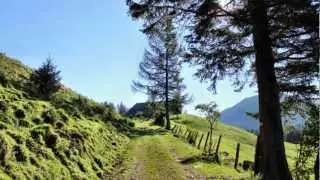 Enzianh&uuml;tte und Seewaldsee