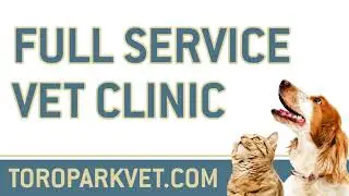 Salinas BKB Toro Park Animal Hospital