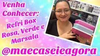 Refri Box Mint, Rosa e Marsala - Tupperware!