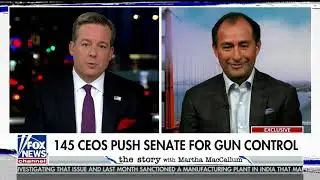 Wizeline CEO Bismarck Lepe talks sensible gun control on Fox's The Story | 9/13/2019