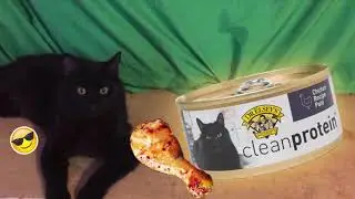 Dr. Elsey&rsquo;s Cleanprotein Canned Cat Food (Chicken Flavor) - Cats&rsquo; First Impression