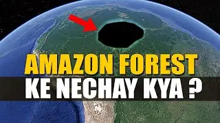 Mysterious View Of Amazon Jungle Brazil | Amazon Jungle Mystery