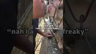 Freaky monkey #freaky  #freakymemes #animals #monkey #monkeymemes #meme #memes #funny #funnymemes