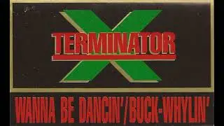 Terminator X ft Celo from The Casino Brothers - Wanna Be Dancin' (acappella)