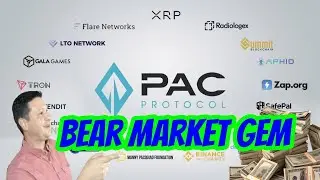 PAC Global is a Bear Market Gem!  Flair Network Partnership I am BULLISH on XRP Ecosystem!