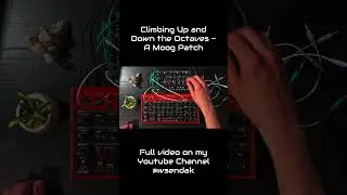 Moog Patch tested with Moog Mavis and Behringer Spice #moog #behringer #modular #synth #spice #mavis