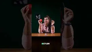 ഇതിൽ Acid ഉണ്ടോ ?? | Xylem Class 5