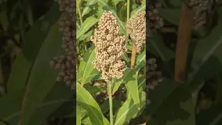 ഓരോ യാത്രയും ജീവിതത്തിലേക്ക് പുതിയ അനുഭവങ്ങളും അറിവുകളും സമ്മാനിക്കുന്നു...