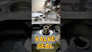CLOSE UP- valve seal fitting #engine #shortsfeed