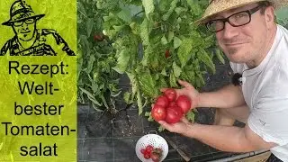 Rezept: Tomatensalat der Extraklasse