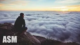 Emotional Documentary - by AShamaluevMusic (Official Music Video)