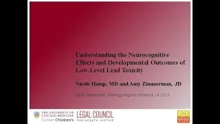 (obsolete version) Understanding the Neurocognitive Effects ... of Low-Level Lead Toxicity