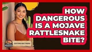 How Dangerous Is A Mojave Rattlesnake Bite?