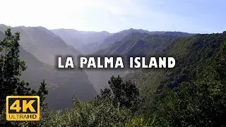 La Palma Island, Canary Islands 🇪🇸 | 4K Drone Footage